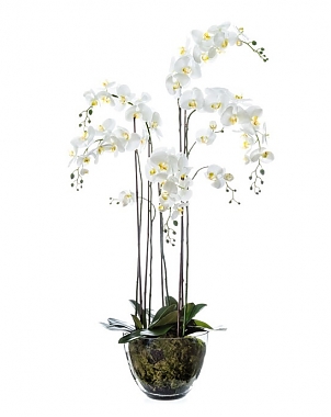 Орхидея Фаленопсис искусственный H150
