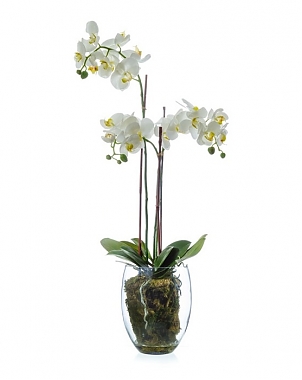 Орхидея Фаленопсис искусственный H85