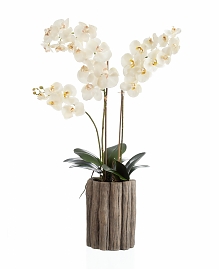 Орхидея Фаленопсис иск. в кашпо H90