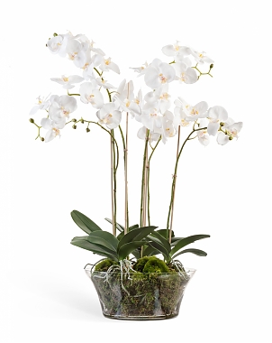 Орхидея Фаленопсис иск. в вазе H90