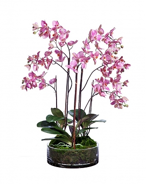 Орхидея Фаленопсис искусственный H85